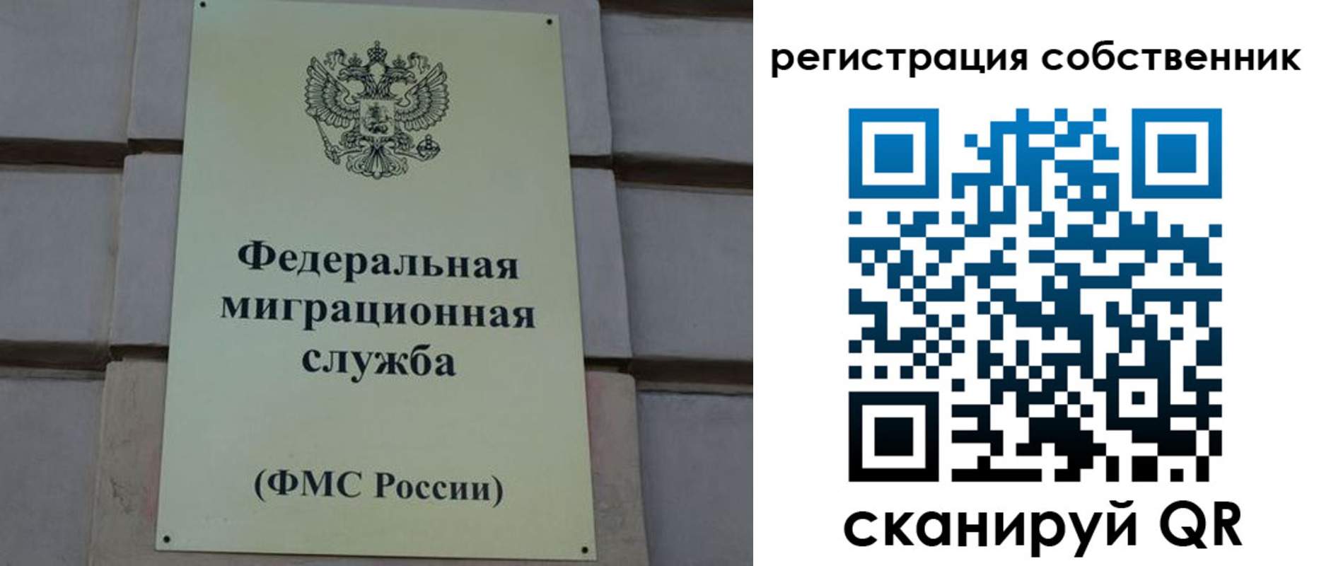 прописка гарантия в Струнино